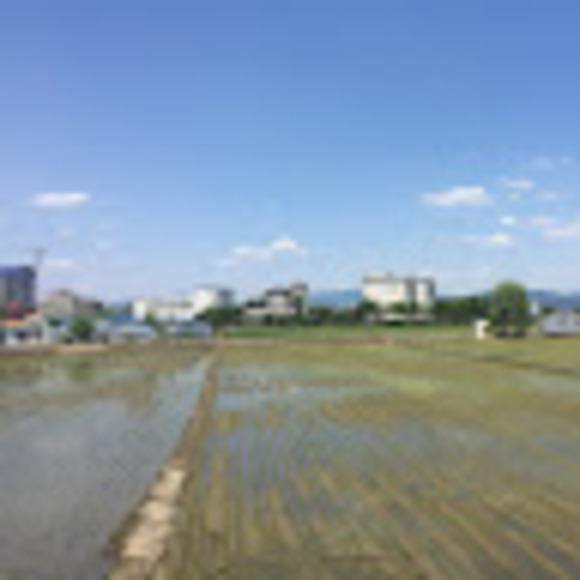 jdkimhi
